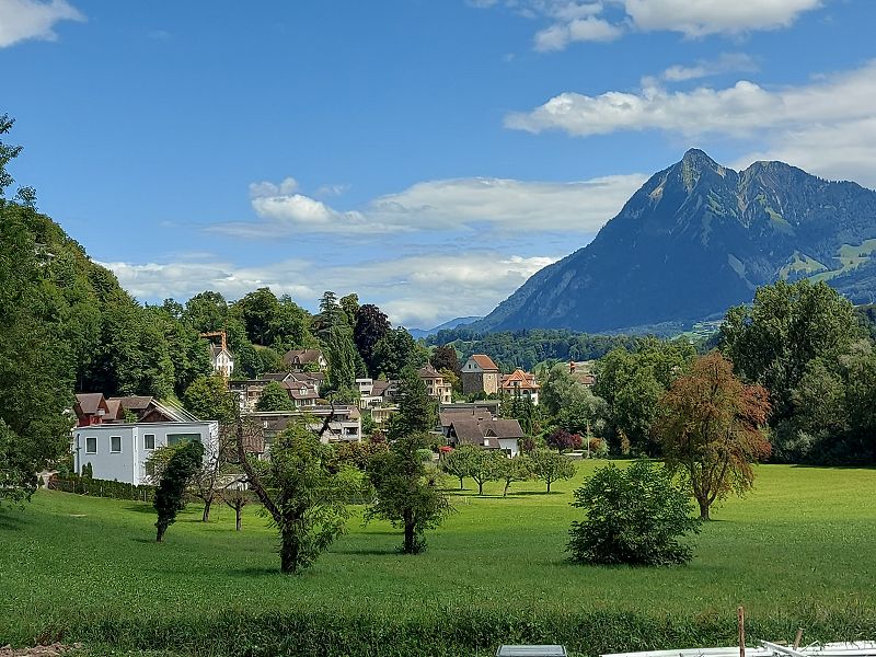 n_Bild (10).jpg