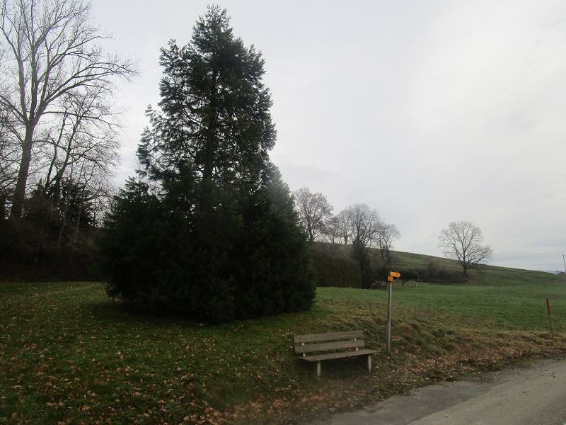 n_Bild (10).jpg