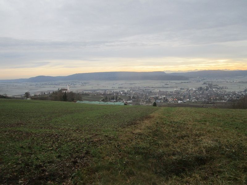 n_Bild (10).jpg