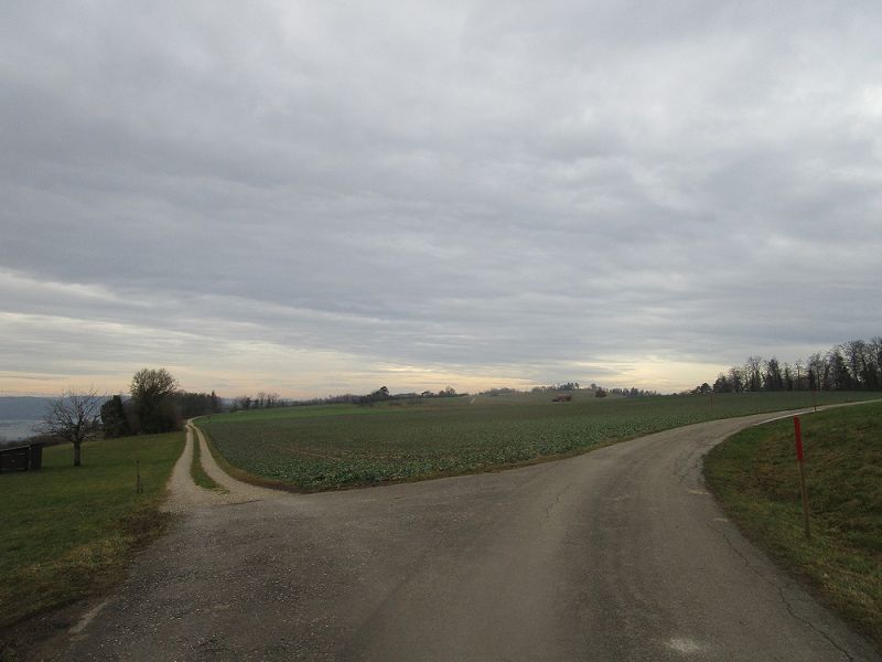n_Bild (10).jpg