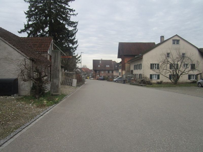 n_Bild (10).jpg