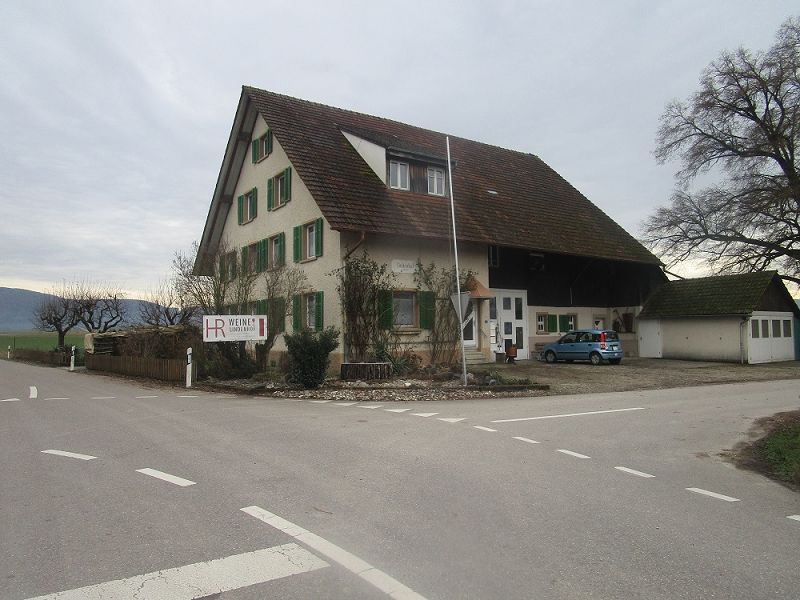 n_Bild (10).jpg
