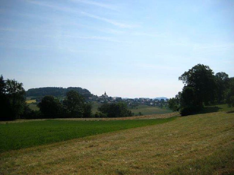 n_Bild (10).jpg