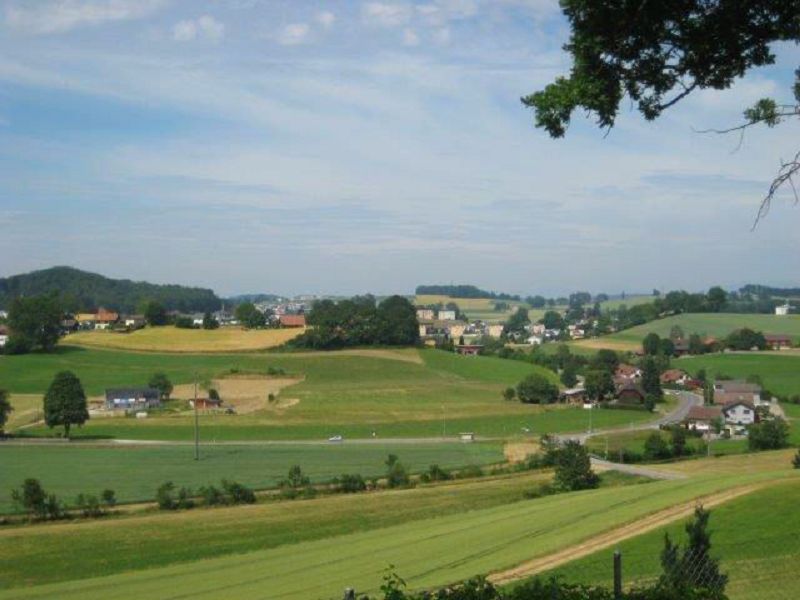 n_Bild (3).jpg