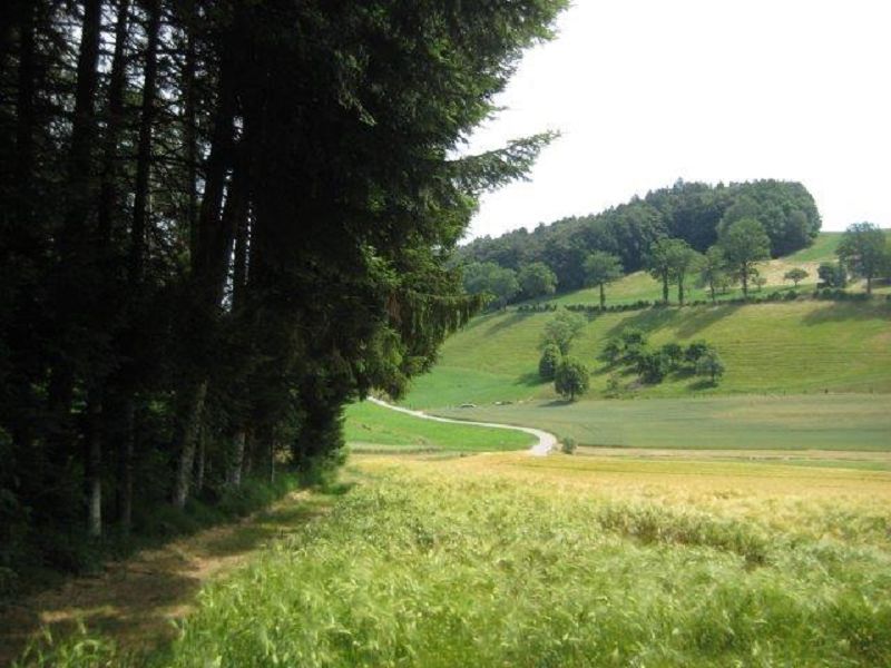n_Bild (10).jpg