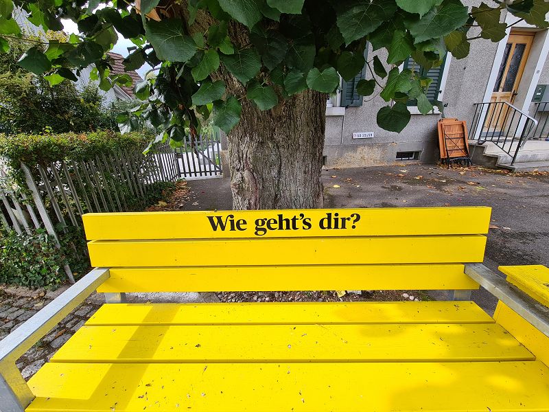 n_Bild (10).jpg