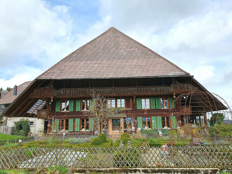 n_Bild (10).jpg