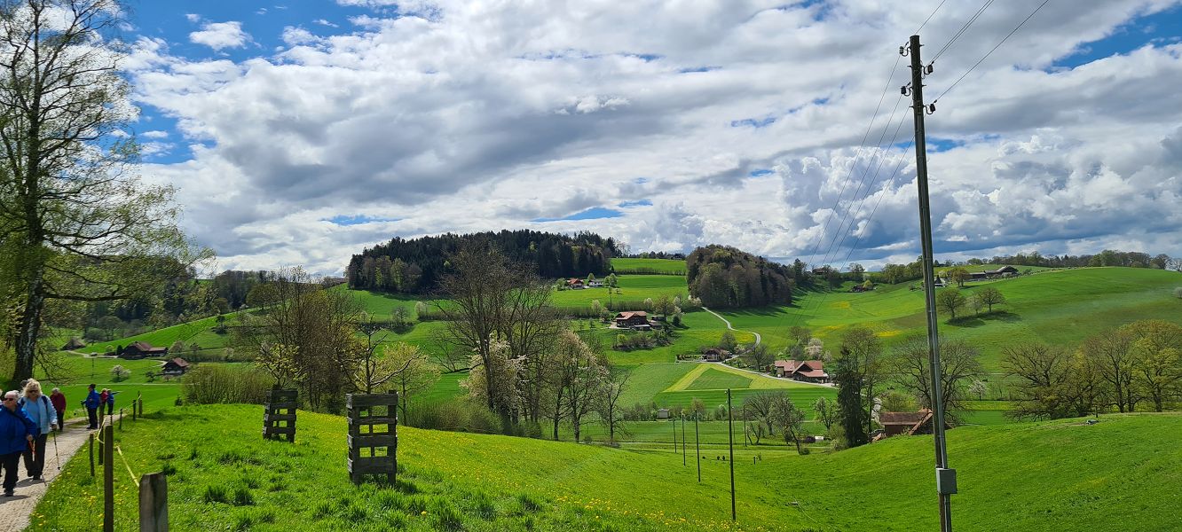 n_Bild (10).jpg