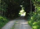 leutwil_02_020