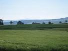 leutwil_03_003