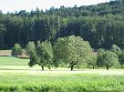 leutwil_03_004