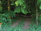 leutwil_03_005