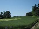 leutwil_03_006