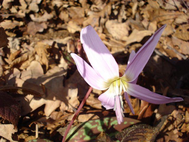 14DSC05566