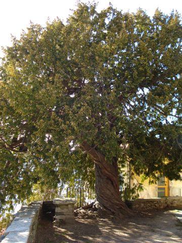 24DSC05577
