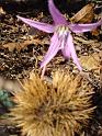 15DSC05567