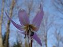 16Winter 2010-2011 405