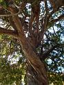 19DSC05572