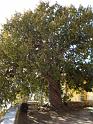 24DSC05577