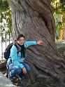 Bild 103 (Medium)