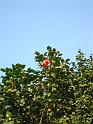 Bild 126 (Medium)