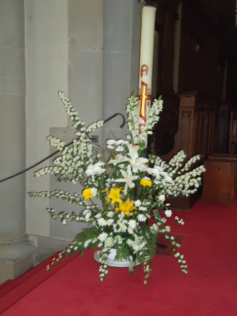 DSC00946