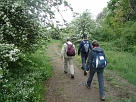 DSC00913