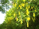 DSC00927
