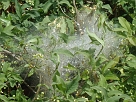 DSC00929