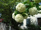DSC00936