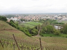 DSC02077
