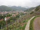 DSC02079