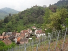 DSC02087