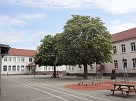 DSC02040