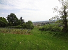 DSC02043