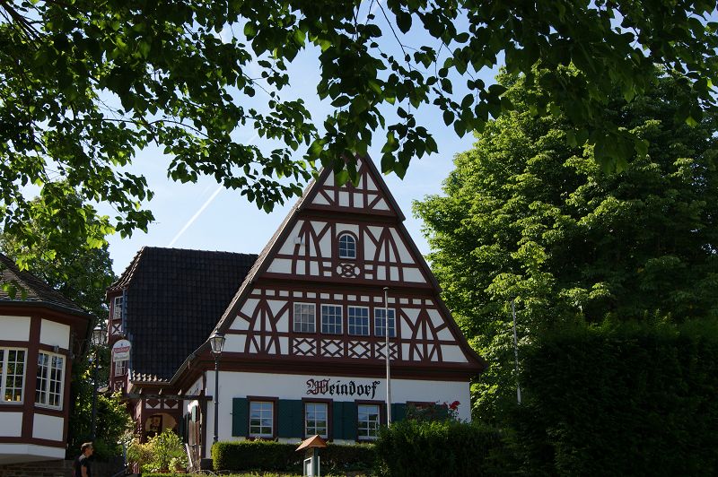 n_Bild (10).jpg