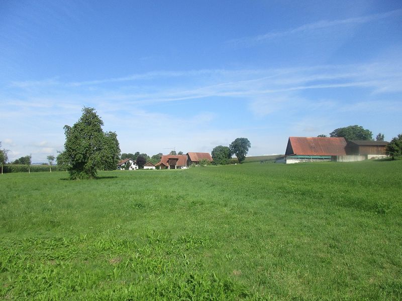 n_Bild (10).jpg