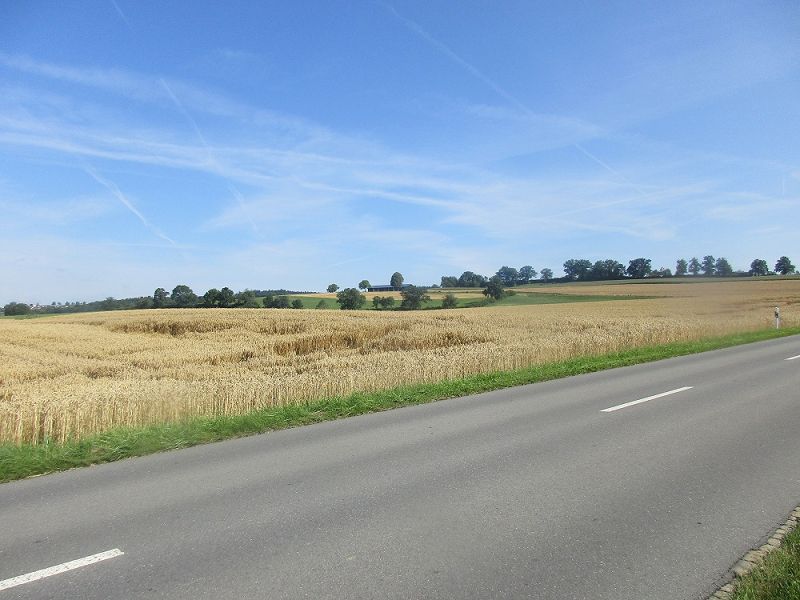 n_Bild (10).jpg