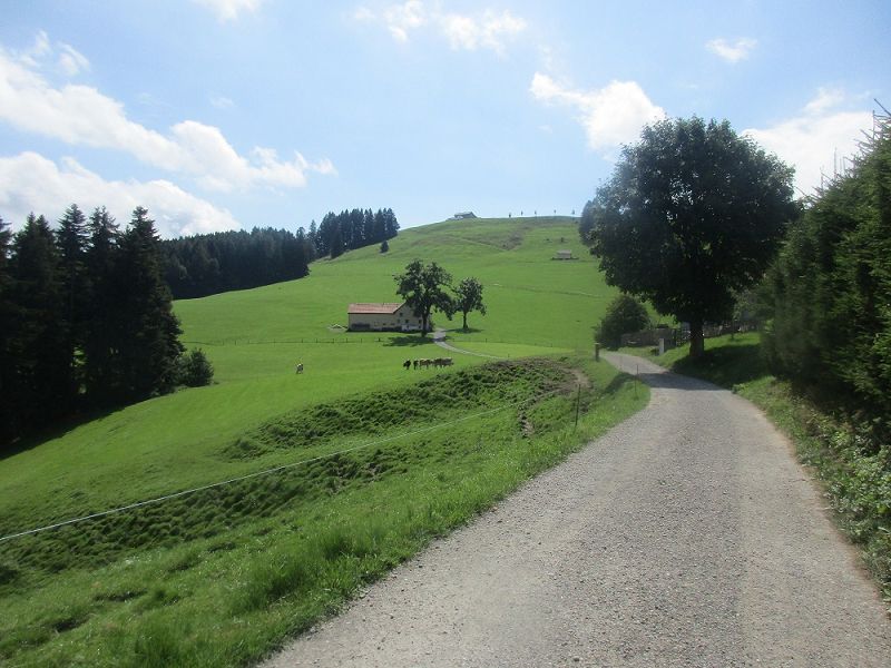 n_Bild (10).jpg