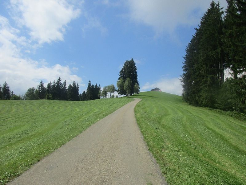 n_Bild (10).jpg
