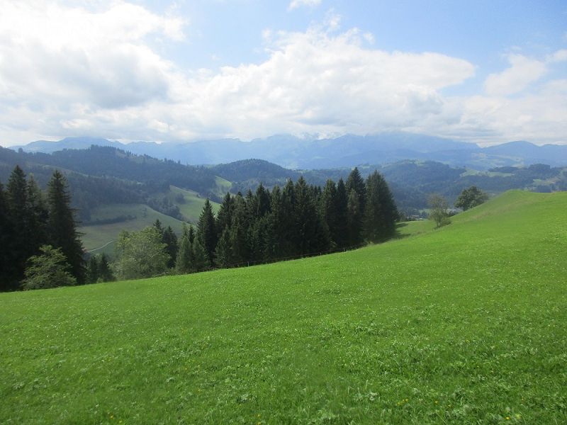 n_Bild (10).jpg