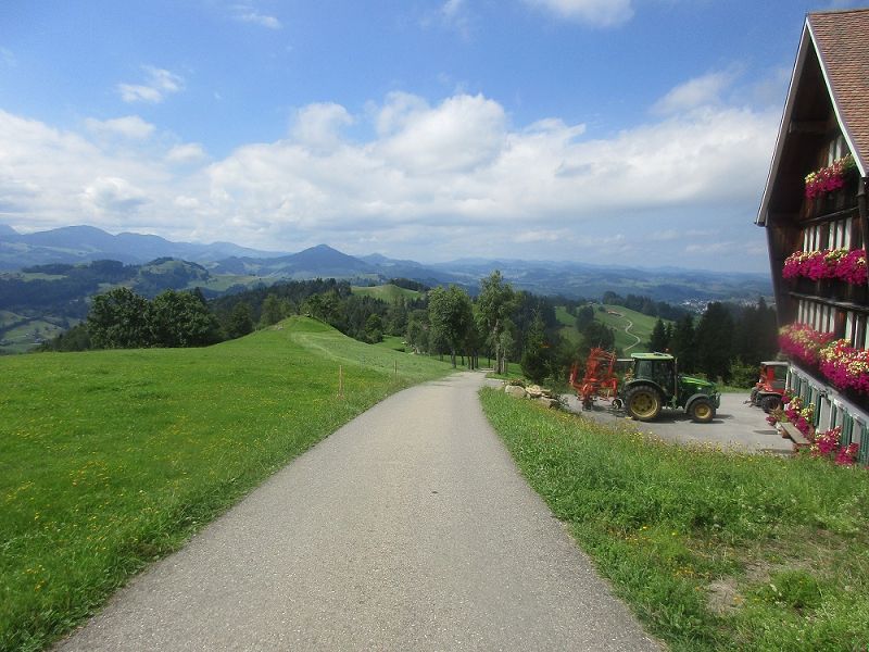 n_Bild (10).jpg