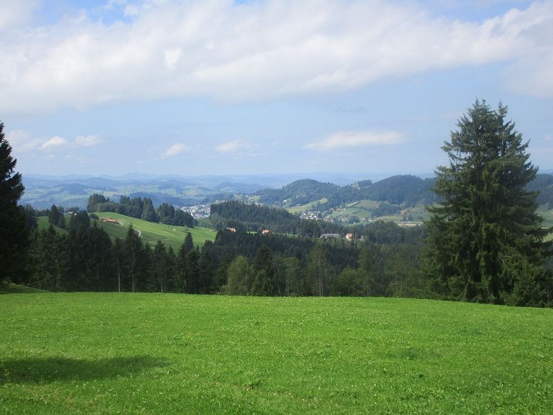 n_Bild (10).jpg
