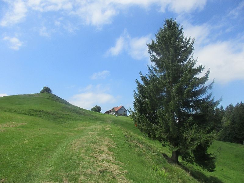 n_Bild (3).jpg
