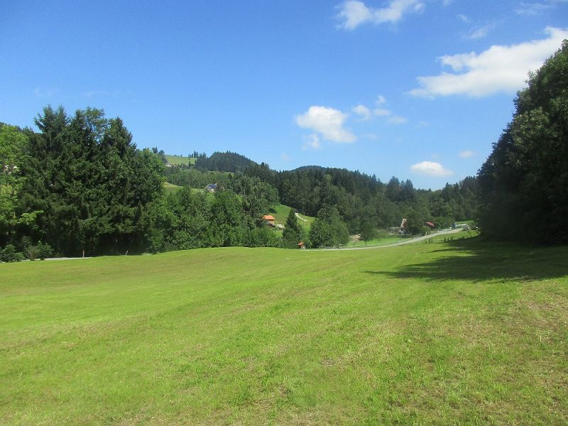 n_Bild (10).jpg