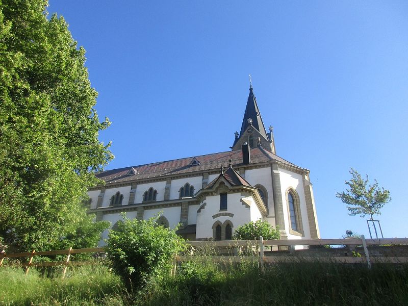 n_Bild (10).jpg