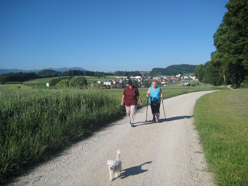 n_Bild (10).jpg
