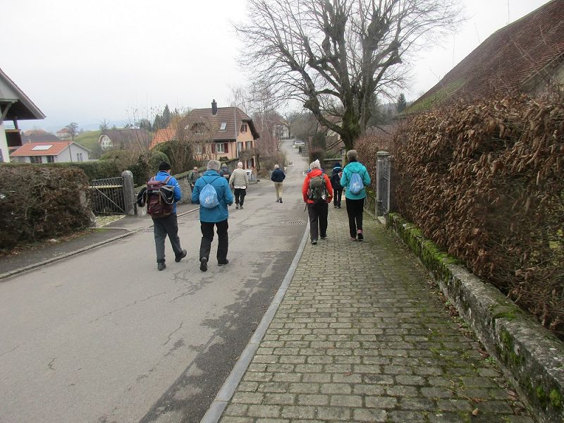 n_Bild (10).jpg