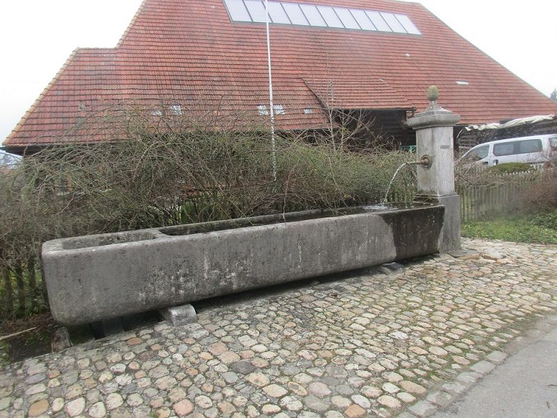 n_Bild (10).jpg