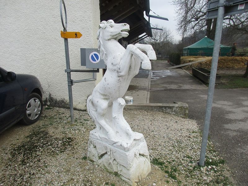 n_Bild (10).jpg